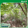 listing thumbnail image 31
