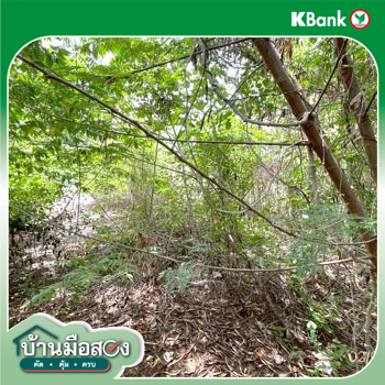 picture LAND 150 Sq.w. Lat Krabang Bangkok for 7.2M - 32/34