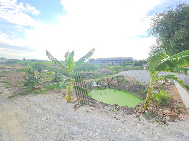 รูป ขายที่ดินพร้อมบ้านและสวน ขนาดใหญ่ 6 ไร่ 114 ตร.วา ทำเลทอง เหมาะสำหรับทำบ้านพักตากอากาศ บ้านสวน โครงการหมู่บ้านจัดสรร | 93389 - รูปที่ 8/20