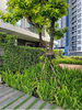 listing thumbnail image 16