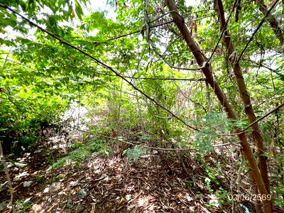 Land for sale Suwannaphum International Airport : LAND 150 Sq.w. Lat Krabang Bangkok for 7.2M
