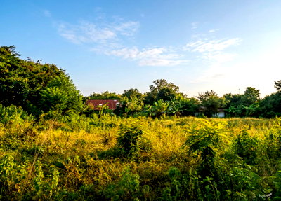 Land for sale : Prime Development Land for Sale in Udon Thani, Thailand | 24 Rai | Highway 2202 Frontage | Near Mittraphap Road