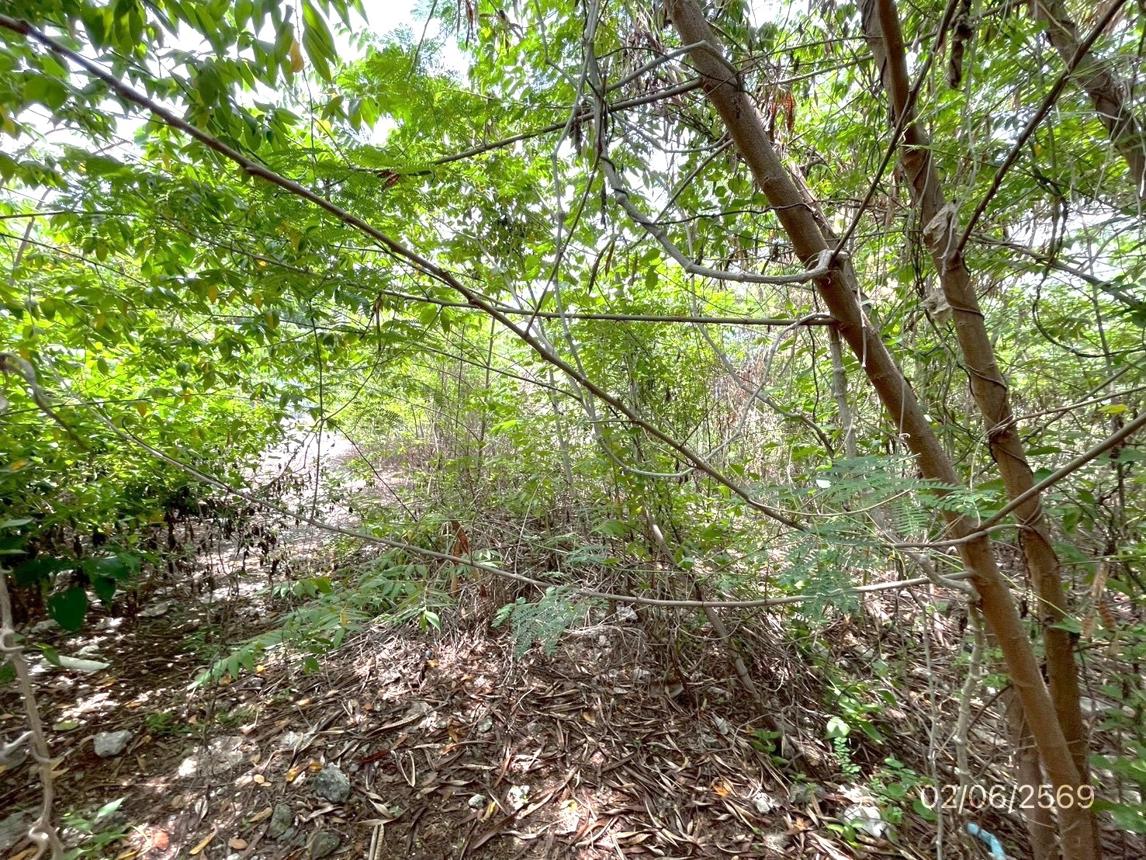 picture LAND 150 Sq.w. Lat Krabang Bangkok for 7.2M - 16/34