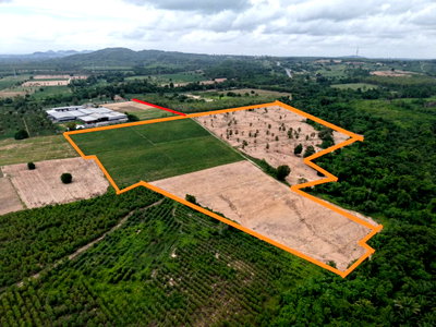 ที่ดิน บางละมุง ชลบุรี : ขาย ที่ดินแปลงใหญ่ 88-3-13 ไร่ ผังส้มจุด จังหวัดชลบุรี ทำเลศักยภาพ ใกล้โซน EEC