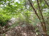 listing thumbnail image 30