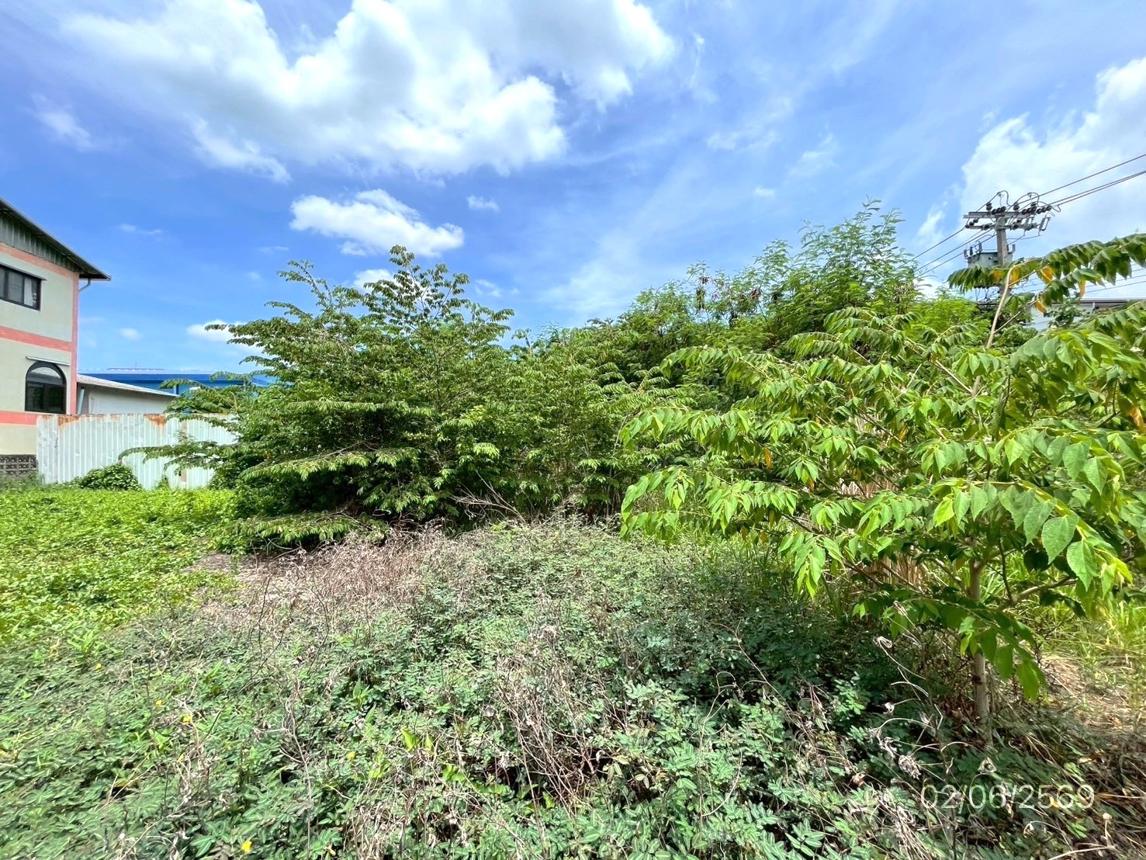 picture LAND 150 Sq.w. Lat Krabang Bangkok for 7.2M - 21/34