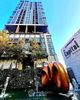 listing thumbnail image 27