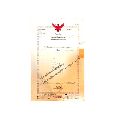 ที่ดิน เมืองเชียงราย เชียงราย : ขายที่ดินเปล่า 99 ตร.ว. ( ประมาณ 0.25 ไร่ ) ถมแล้ว บ้านป่ากล้วย ซอย 12 ตำบลสันทราย อำเภอเมืองเชียงราย ใกล้เซ็นทรัลเชียงราย