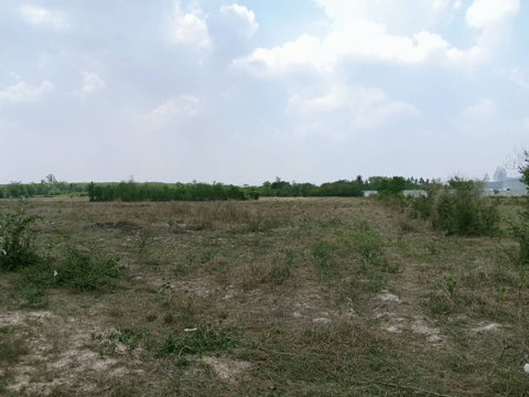 ขาย ที่ดิน จ.ฉะเชิงเทรา อ.แปลงยาว 26 ไร่ 2 งาน 26 ตรว