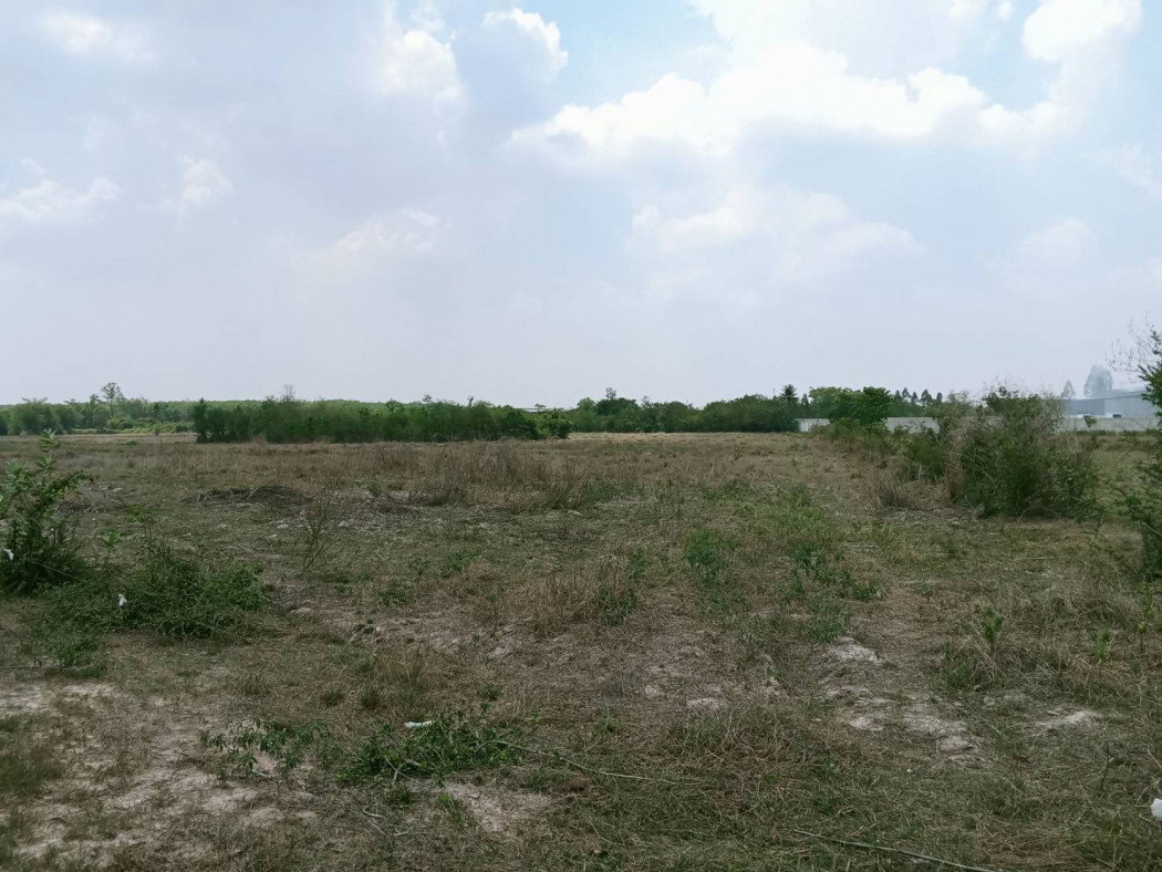 รูป ขาย ที่ดิน จ.ฉะเชิงเทรา อ.แปลงยาว 26 ไร่ 2 งาน 26 ตรว - รูปที่ 1/4