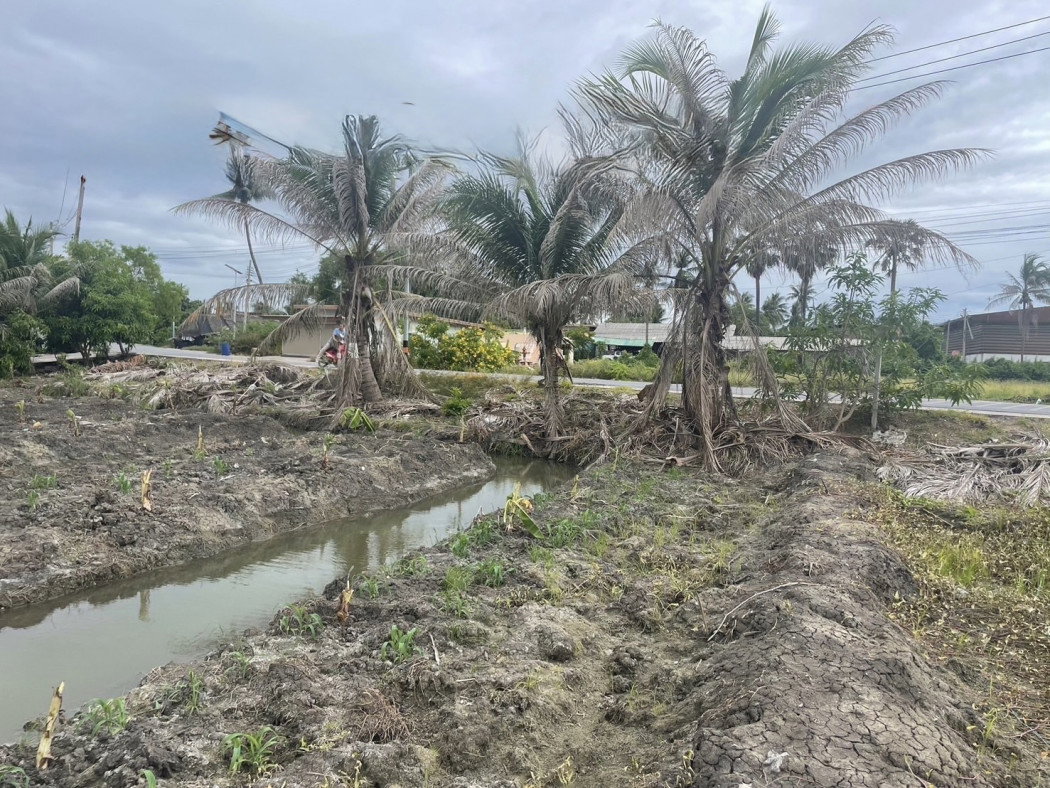 picture Urgent sale of a beautiful land plot, 2 rai 23 square wah, in Khlong Mai, Sam Phran, Nakhon Pathom. - 2/6