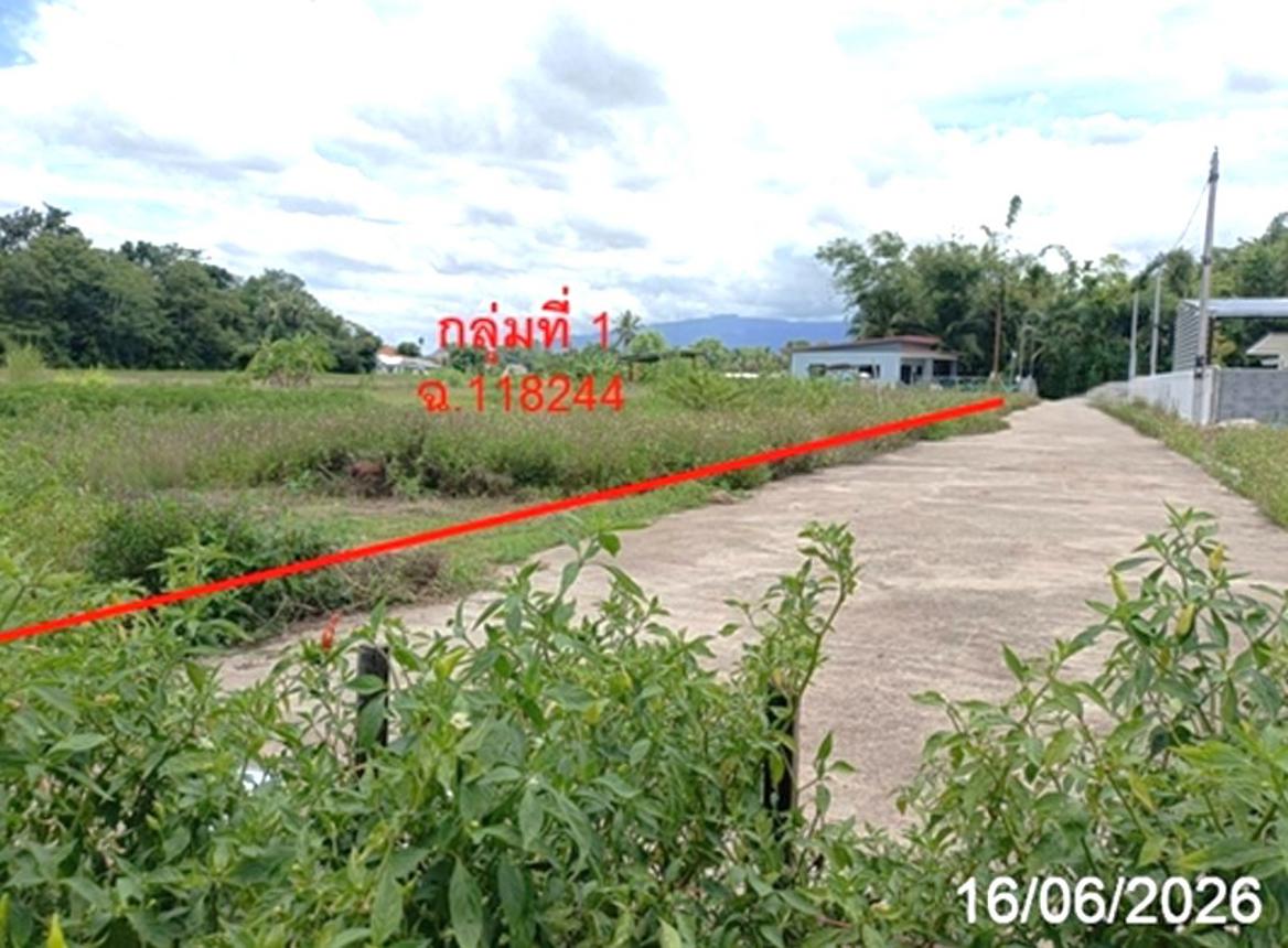 picture LAND 468.8 Sq.w. San Sai Chiang Mai for 2.8M - 11/20