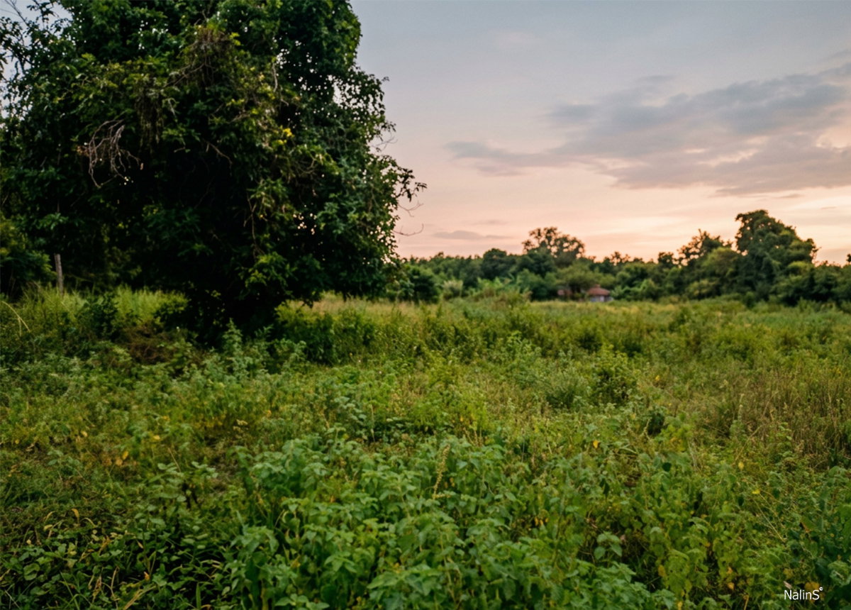 picture Prime Development Land for Sale in Udon Thani, Thailand | 24 Rai | Highway 2202 Frontage | Near Mittraphap Road - 2/9