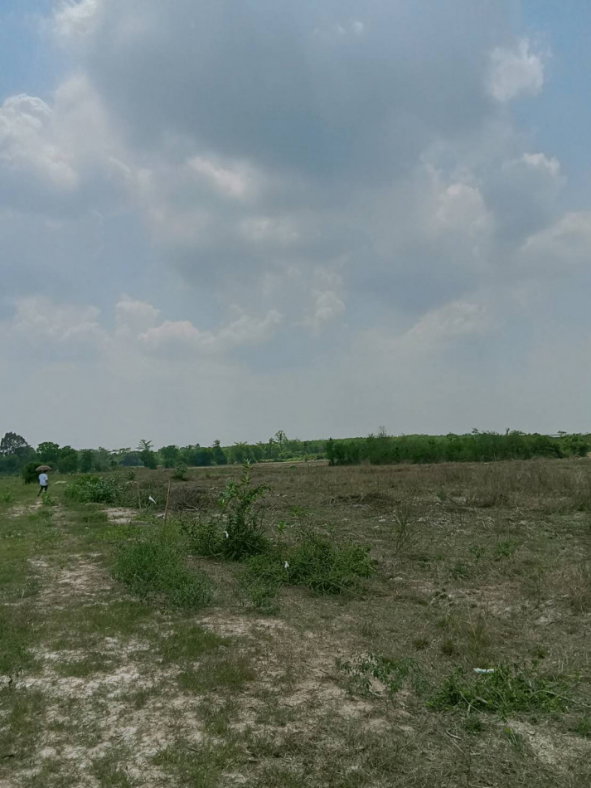 รูป ขาย ที่ดิน จ.ฉะเชิงเทรา อ.แปลงยาว 26 ไร่ 2 งาน 26 ตรว - รูปที่ 2/4