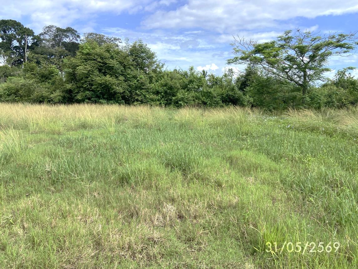 รูป บ้านเดี่ยว 7282 ตร.วา สะเดา สงขลา 19.2M - รูปที่ 32/38
