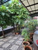 listing thumbnail image 10