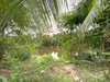 listing thumbnail image 32