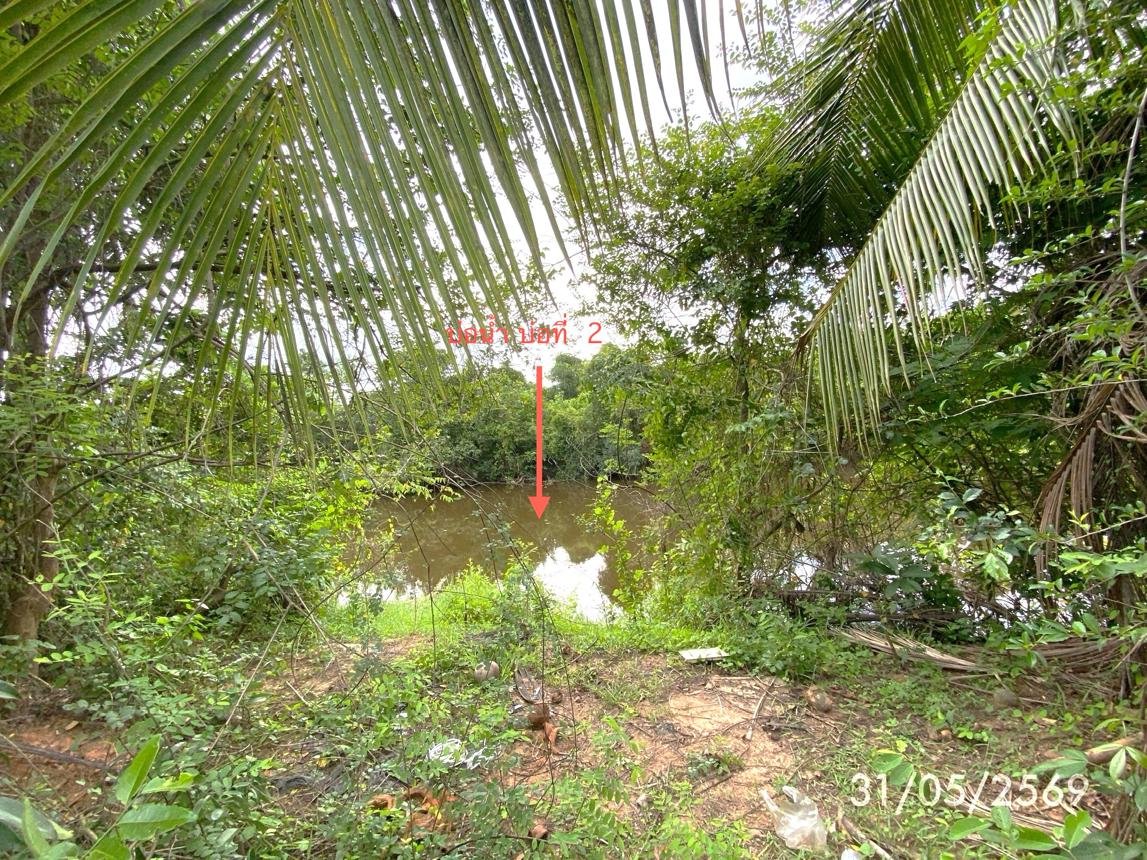 รูป บ้านเดี่ยว 7282 ตร.วา สะเดา สงขลา 19.2M - รูปที่ 33/38