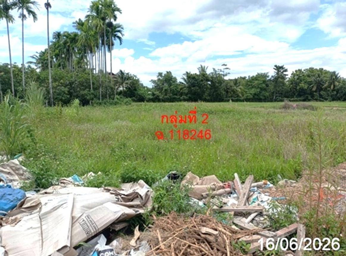 picture LAND 468.8 Sq.w. San Sai Chiang Mai for 2.8M - 15/20