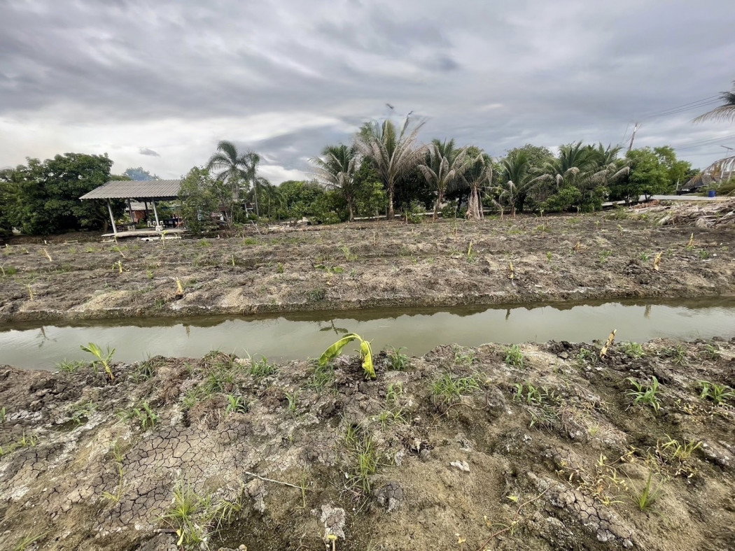 picture Urgent sale of a beautiful land plot, 2 rai 23 square wah, in Khlong Mai, Sam Phran, Nakhon Pathom. - 3/6