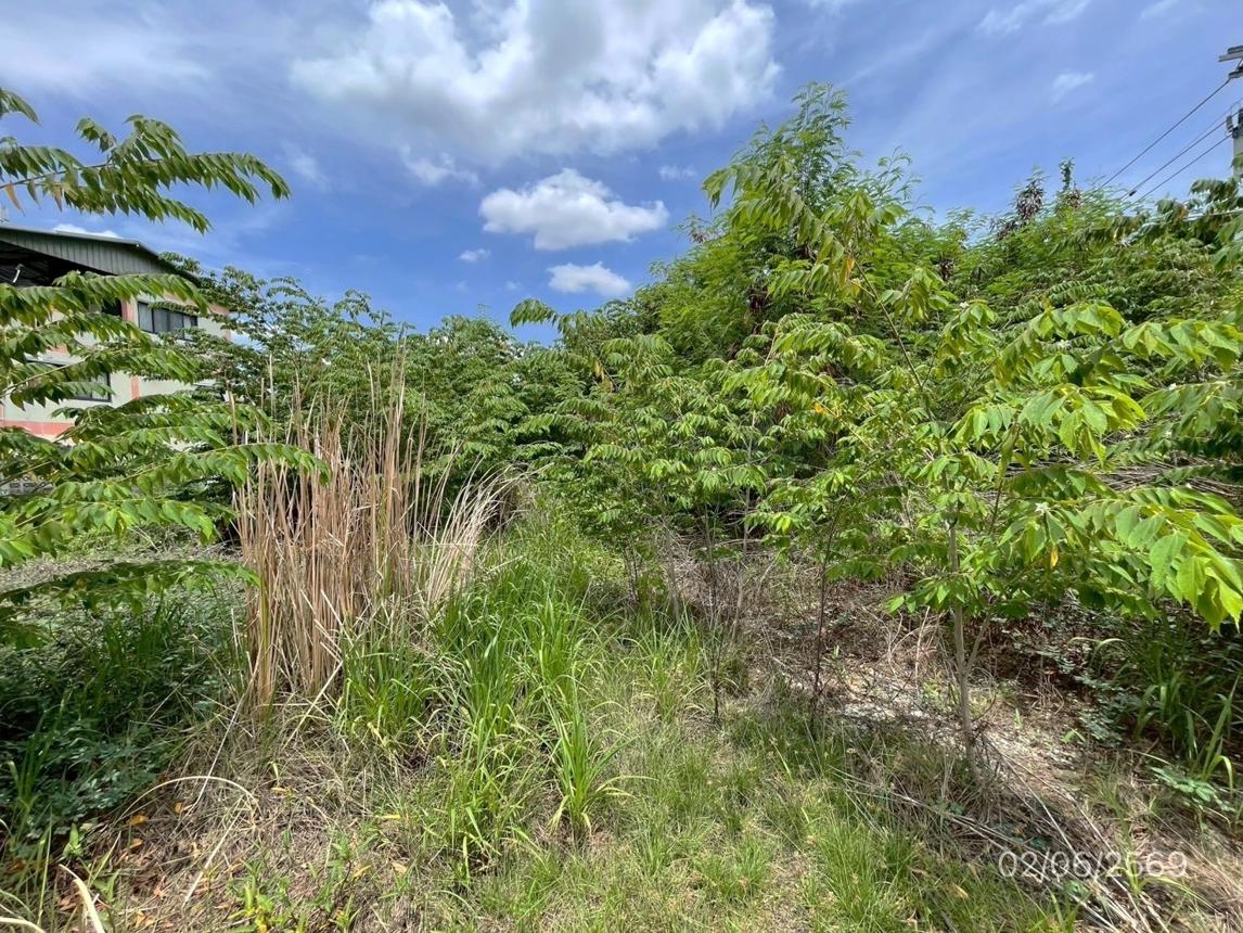 picture LAND 150 Sq.w. Lat Krabang Bangkok for 7.2M - 24/34