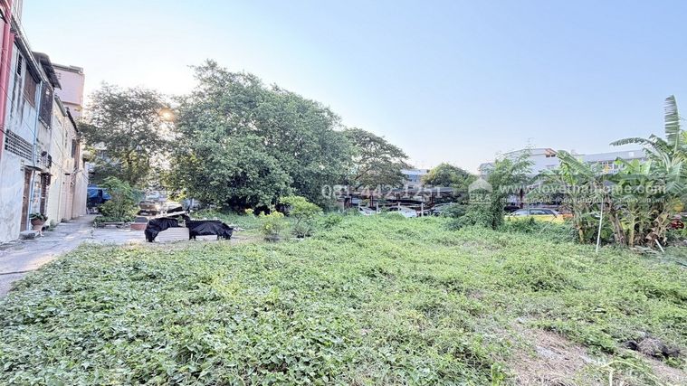 ขายที่ดิน 263 ตร.ว. เขตภาษีเจริญ