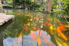 listing thumbnail image 19