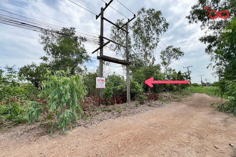 รูป ขายที่ดิน 202 ตร.ว. รังสิตคลอง 1 รังสิต-นครนายก 25-27 ใกล้ฟิวเจอร์พาร์ค ปทุมธานี  - รูปที่ 1/3