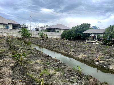 Land for sale Sam Phran Nakhon Pathom : Urgent sale of a beautiful land plot, 2 rai 23 square wah, in Khlong Mai, Sam Phran, Nakhon Pathom.