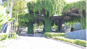 รูป บ้านเดี่ยว 190 ตร.วา โครงการ บุราสิริ วัชรพล กรุงเทพมหานคร สายไหม กรุงเทพมหานคร 33M - รูปที่ 5/5