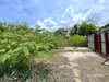listing thumbnail image 19