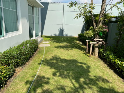 รูปภาพ ✨ บ้านติดสวน บรรยากาศร่มรื่น พร้อมเฟอร์นิเจอร์ครบ เข้าอยู่ได้ทันที