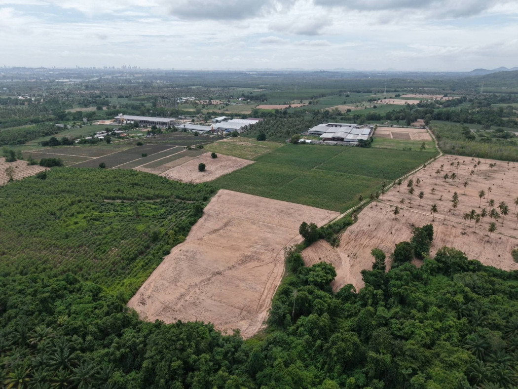 รูป ขาย ที่ดินแปลงใหญ่ 88-3-13 ไร่ ผังส้มจุด จังหวัดชลบุรี ทำเลศักยภาพ ใกล้โซน EEC - รูปที่ 7/10