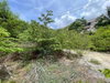 listing thumbnail image 25