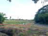 listing thumbnail image 35