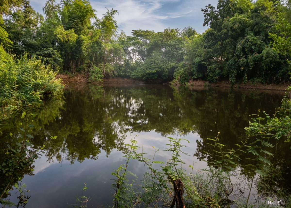 picture Prime Development Land for Sale in Udon Thani, Thailand | 24 Rai | Highway 2202 Frontage | Near Mittraphap Road - 3/9