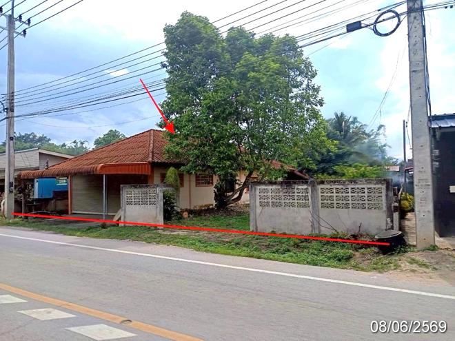 รูป บ้านเดี่ยว 197 ตร.วา แม่อาย เชียงใหม่ 2.5M - รูปที่ 2/26