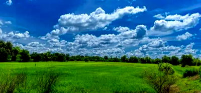 Land for sale : Land fir sale. A 3 rai ,140 talang wah land plot on the main Chayangkun Road in Mueang Sam Sip, Ubon Ratchathani 