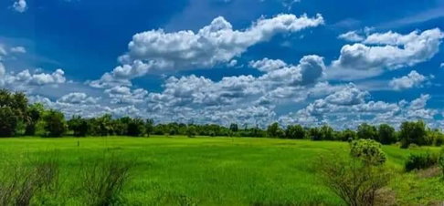 Land fir sale. A 3 rai ,140 talang wah land plot on the main Chayangkun Road in Mueang Sam Sip, Ubon Ratchathani 