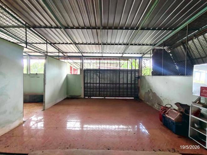 รูป บ้านเดี่ยว 200 ตร.วา เพ็ญ อุดรธานี 4.6M - รูปที่ 11/42