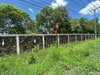 listing thumbnail image 39