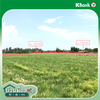 listing thumbnail image 15