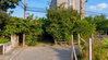 listing thumbnail image 1