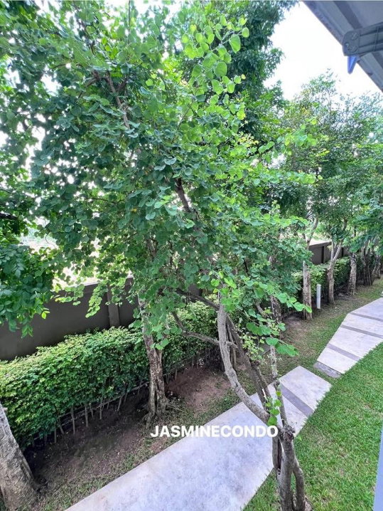 picture JP-AGENT Dcondo CoCo Suratthani for rent  - 7/7