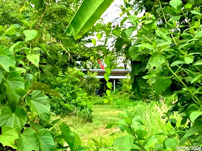 บ้านเดี่ยว 373 ตร.วา บ้านด่าน บุรีรัมย์ 1.5M