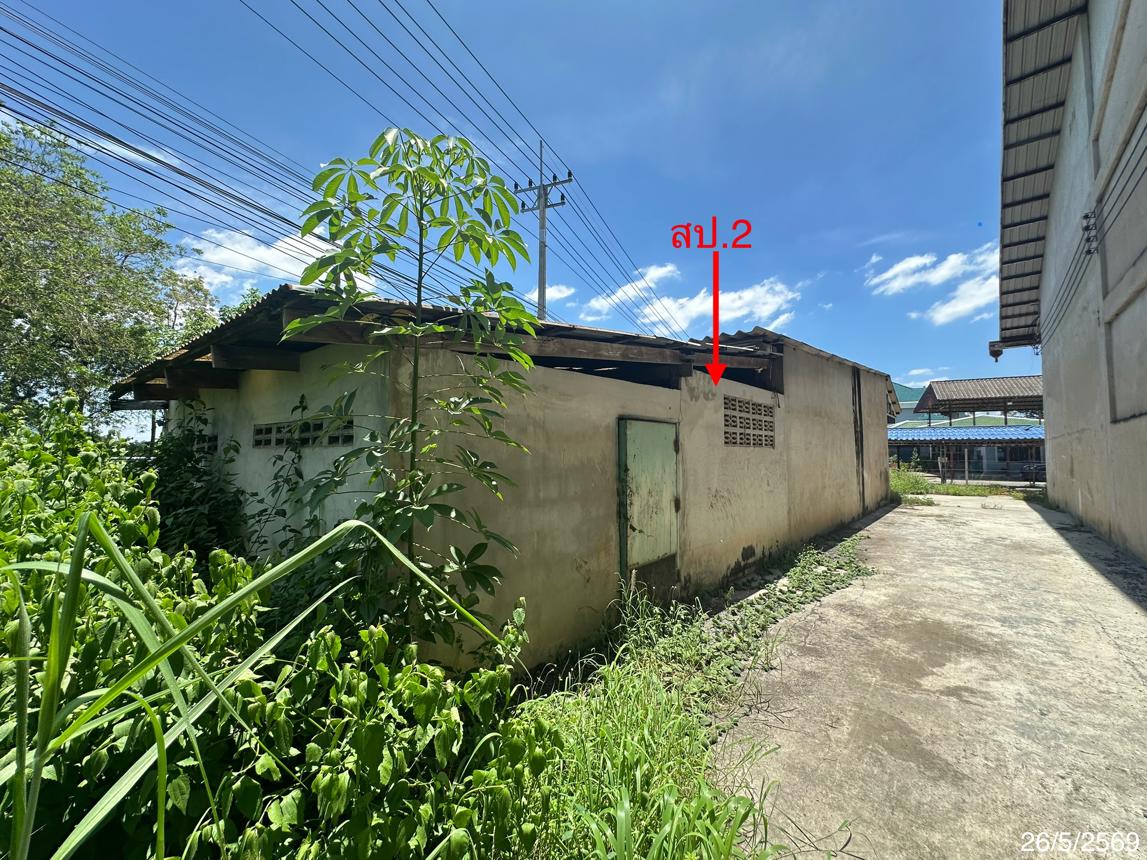 รูป โกดัง 18513.4 ตร.วา วิเชียรบุรี เพชรบูรณ์ 99.5M - รูปที่ 38/44