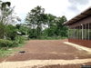 listing thumbnail image 31
