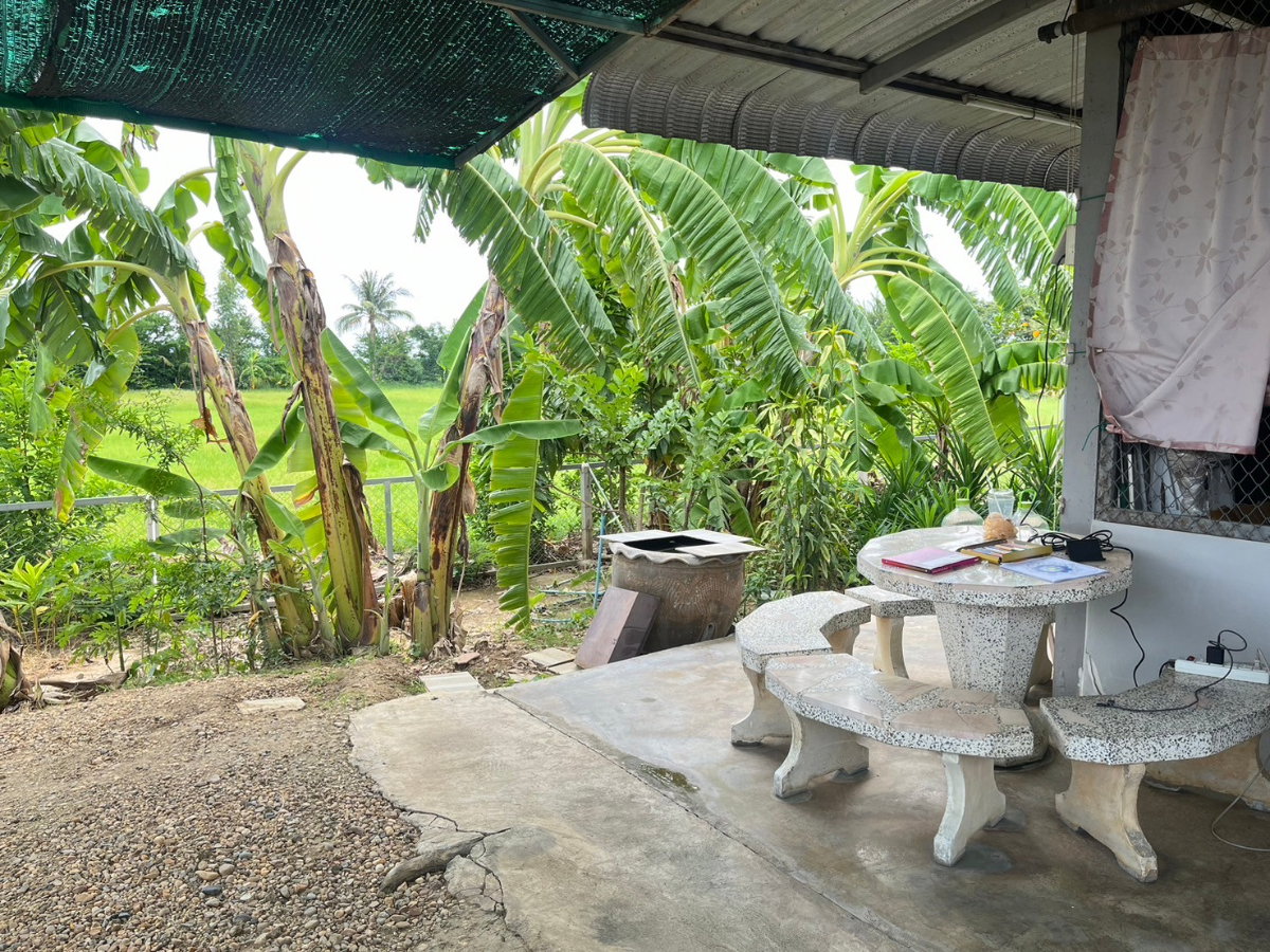 รูป ขายด่วน!! บ้านเดี่ยวชั้นเดียวสภาพสวยมาก พร้อมเฟอร์ฯใหม่เอี่ยม เนื้อที่รวมตัวบ้าน 1 ไร่ 3 นอน 2 น้ำ แอร์ 2 ตัว ที่จอดรถ 4 คัน 2 ล้านเท่านั้น - รูปที่ 2/19