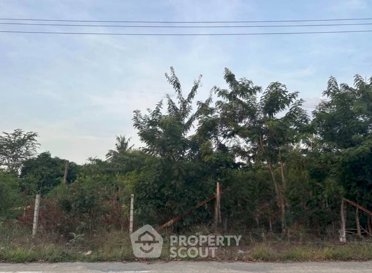 picture Pet-Friendly Land For Rent In Sai Noi, Nonthaburi 🌿 (ID 3133192) - 3/3