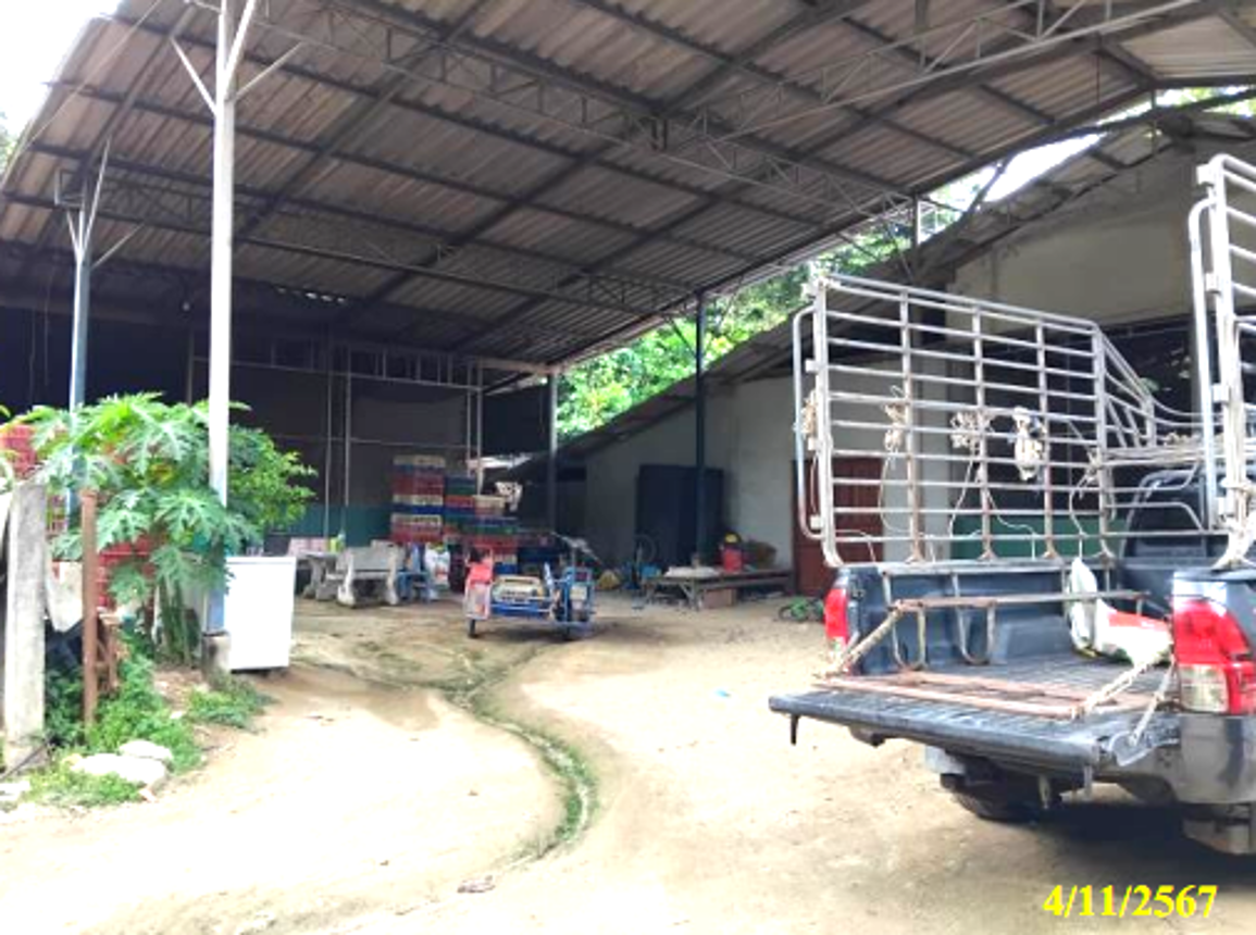 รูป โกดัง 145.9 ตร.วา ยี่งอ นราธิวาส 1.4M - รูปที่ 10/14